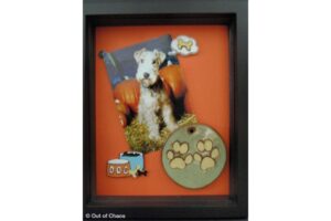 organizing pet memories - picture of herbie in shadow box