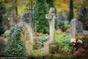 very old headstones in a cemetery covered with vines, flowers, and other greenery representing organizing during grief