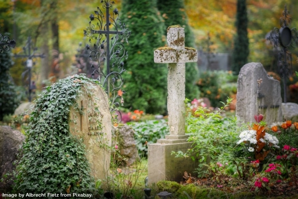 very old headstones in a cemetery covered with vines, flowers, and other greenery representing organizing during grief